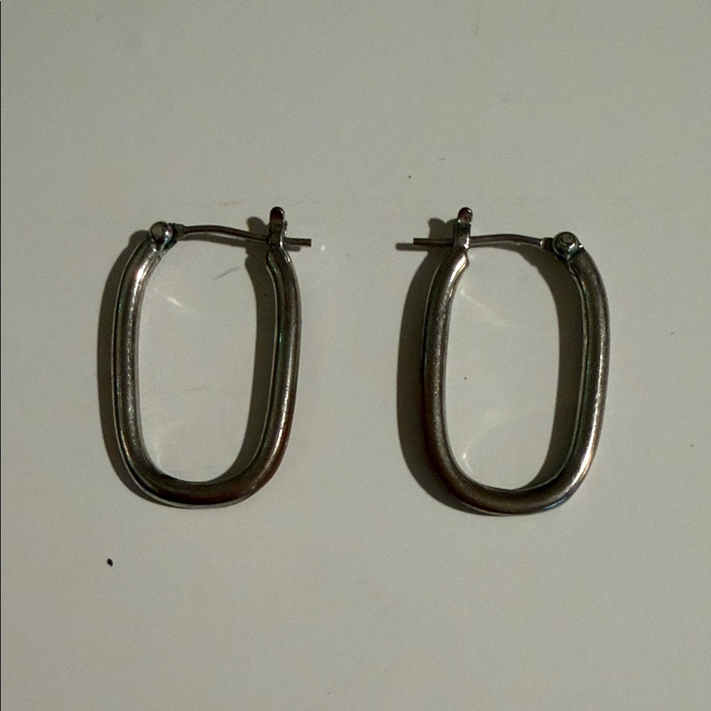 Elegant Silver Hoop Earrings